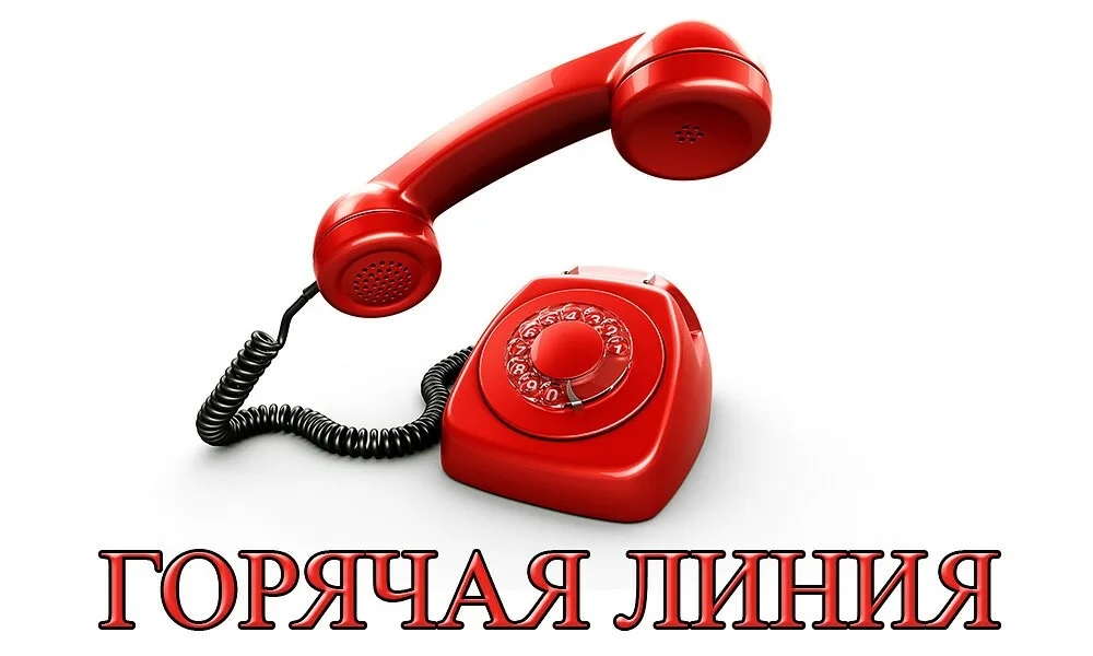 Горячая линия для оперативного приема информации.